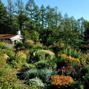 (株)富良野タクシー(風のガーデン受付)