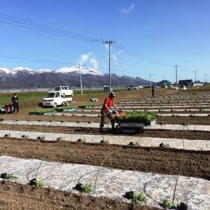 株式会社 天間農産本舗　パート・アルバイト